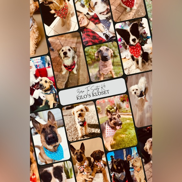 13” Levi’s Dog Bandana, Levi Strauss, Levi Jeans, Repurposed Levi Strauss - Picture 7 of 10